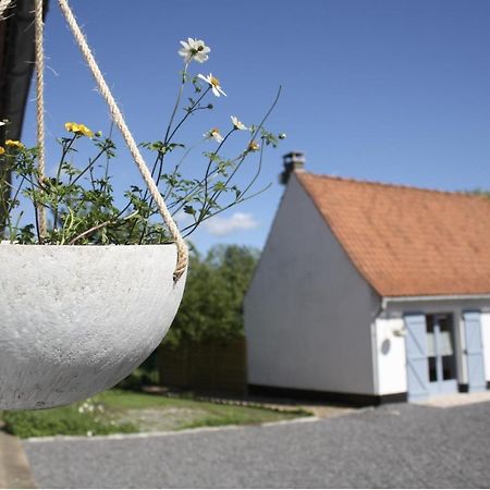 Licques A L'Ombre Du Prunier B&B 외부 사진